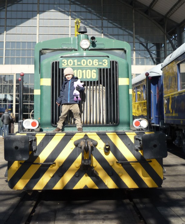 Un paseo divertido para un dia de invierno