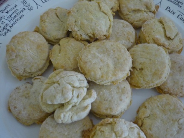 Nuestros mini-scons!