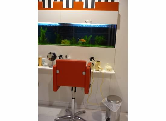 Con vistas al acuario...