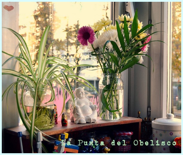 paulavisnedesafioprimavera