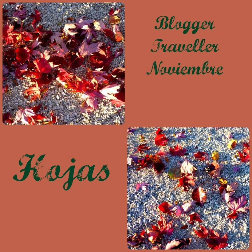 bloggertravellerhojas1