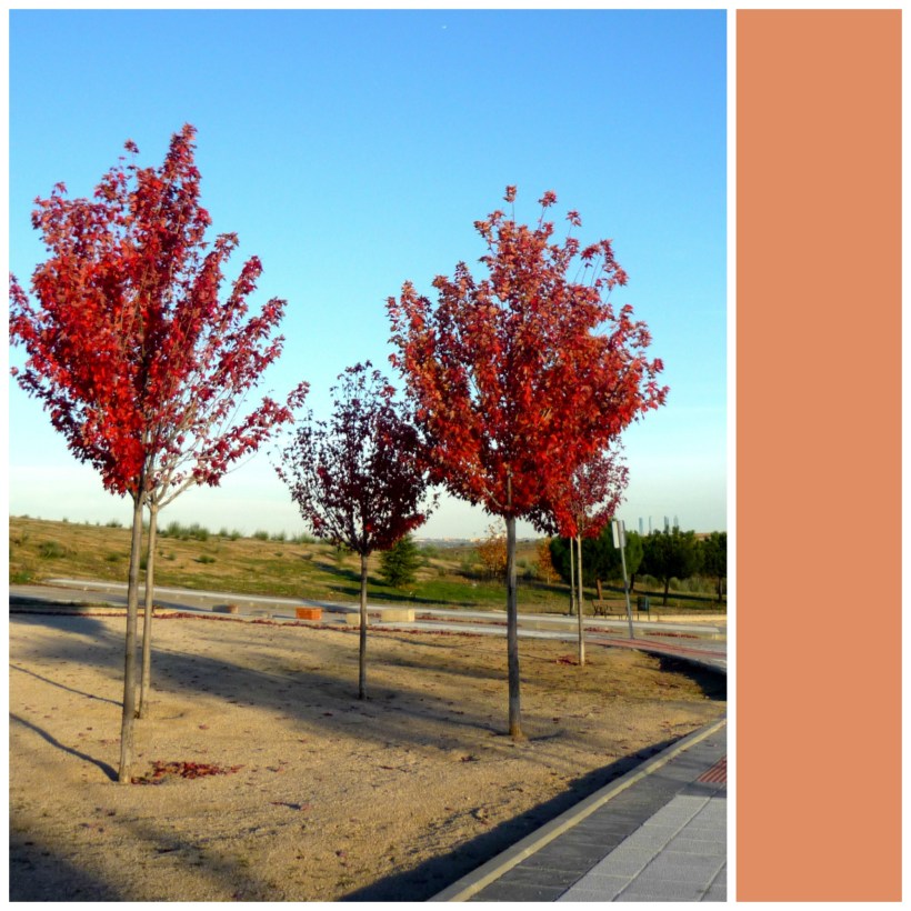 bloggertravellernov2